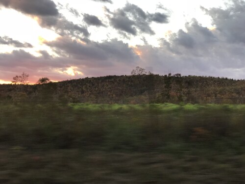IMG_3209.jpeg