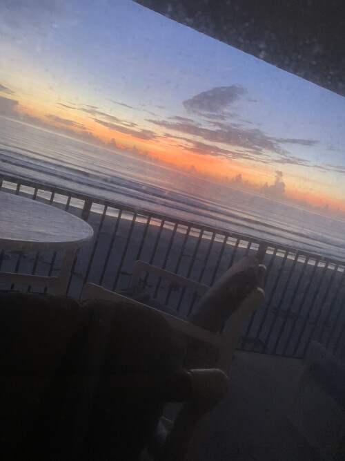 IMG_5311.jpeg